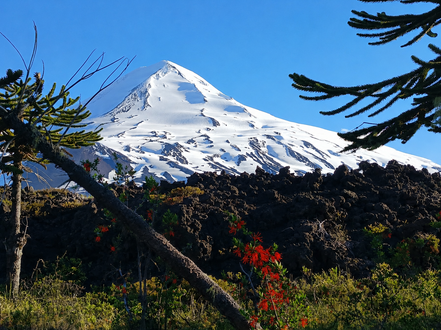 Paisaje de la Araucanía Andina
