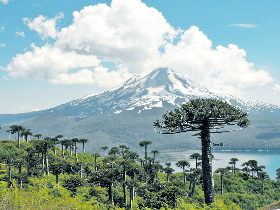 Rumbo al corazón de la Patagonia